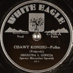 Cisawy konisiu