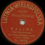 Lutnia-Wielkopolska