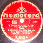 Wśród nocnej ciszy